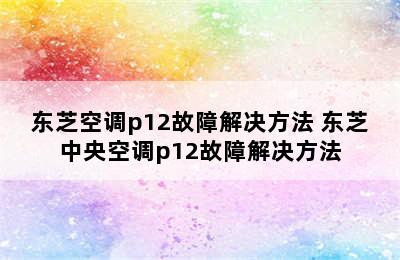 东芝空调p12故障解决方法 东芝中央空调p12故障解决方法